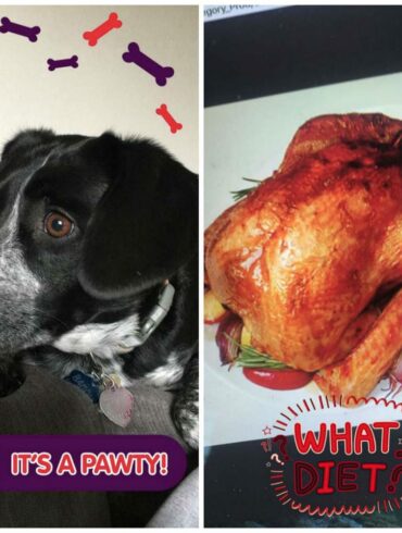 Snapchat Luncurkan Filter Otomatis Berdasarkan Obyek Foto 24 snapchat filter 1