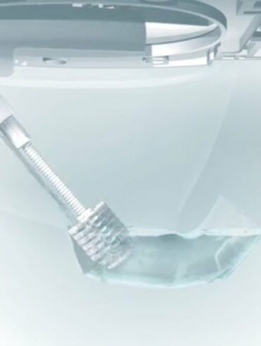 spinx toilet 1
