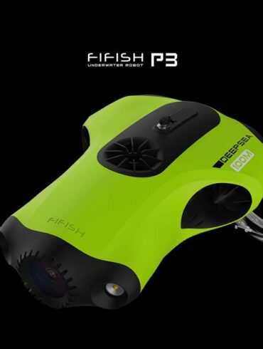 fifish p3 1 fifish p3 1