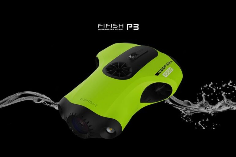 fifish p3 1 fifish p3 1