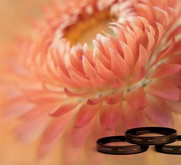 lensbaby 46mm macro filter kit
