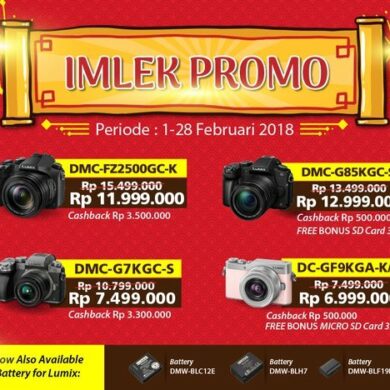 2018 02 28 Panasonic lumix Chinese new year 1920x748