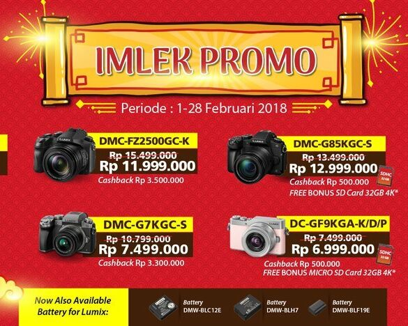 2018 02 28 Panasonic lumix Chinese new year 1920x748