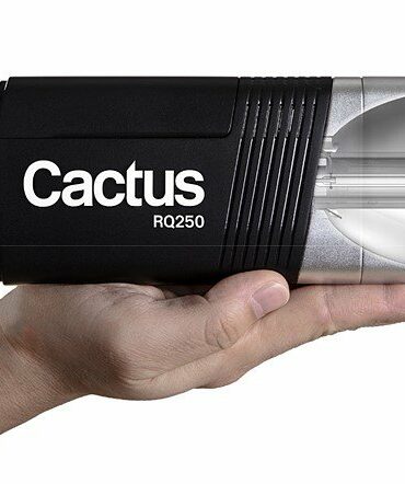 Cactus RQ250 1 Cactus RQ250 1