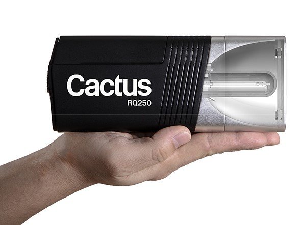 Cactus RQ250 1 Cactus RQ250 1