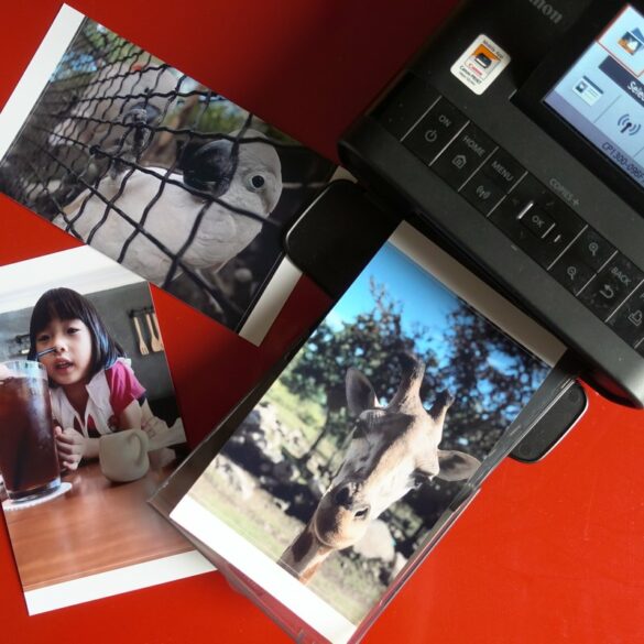 canon selphy CP1300 8