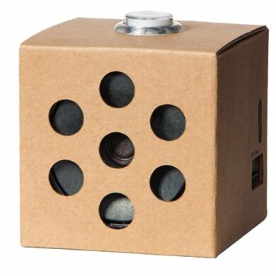 Google AIY Kit speaker 1