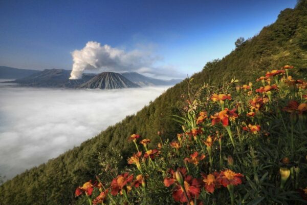Agung Lawerissa TP3 Bromo Asri Solo
