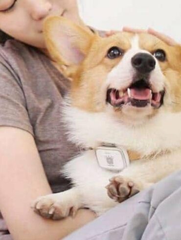 Xiaomi PetBit 1