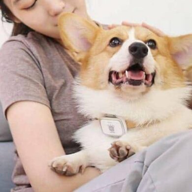 Xiaomi PetBit 1