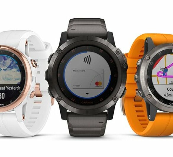 garmin fenix 5 plus 2