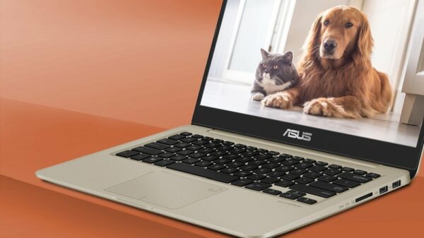 ASUS VivoBook 14 A411UF 004b ASUS VivoBook 14 A411UF 004b