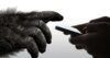 gorilla glass 6 2