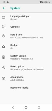 Review Asus ZenFone Max Pro M2: Baterai Tetap Besar, Performa dan Kamera Lebih Menarik 28 Asus ZenFone Max Pro M2 UI 1