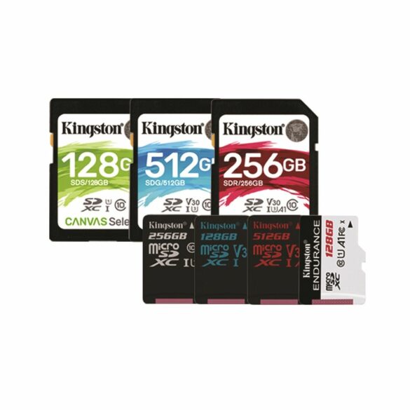 Kingston Canvas Series 1