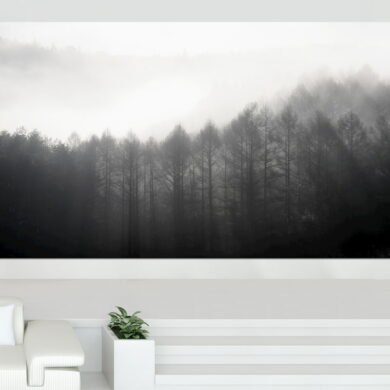Samsung the wall luxury 2