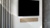 Bang olufsen beosound stage 1