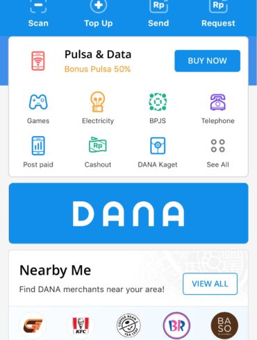 DANA 1.0 1