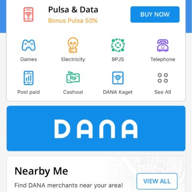 DANA 1.0 1