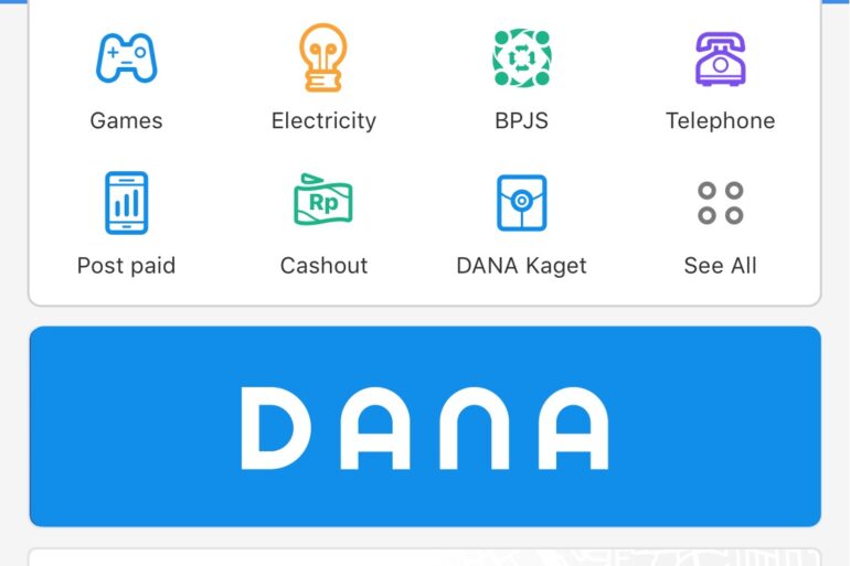 DANA 1.0 1 DANA 1.0 1
