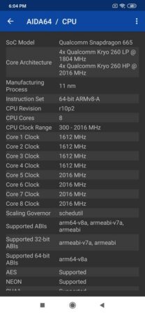 Mencoba Performa Gaming Redmi Note 8, Smartphone Terjangkau dengan Snapdragon 665 21 Redmi Note 8 AIDA 64 3