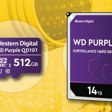 WD purple 1