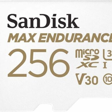 Sandisk max endurance 1