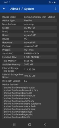 Galaxy M31 AIDA 64 2