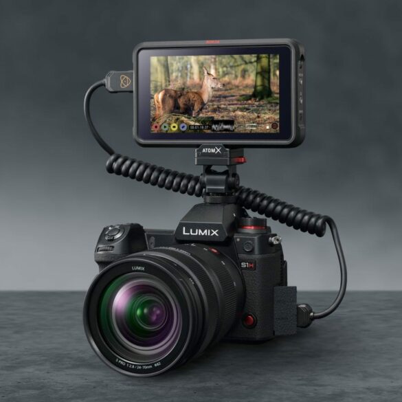 panasonic Lumix S1H prores RAW 1