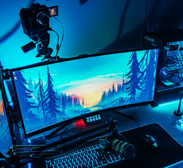 OMD D Webcam Beta Software 1