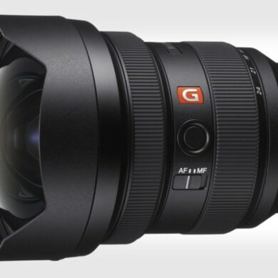 Sony FE 12 24mm G Master 1