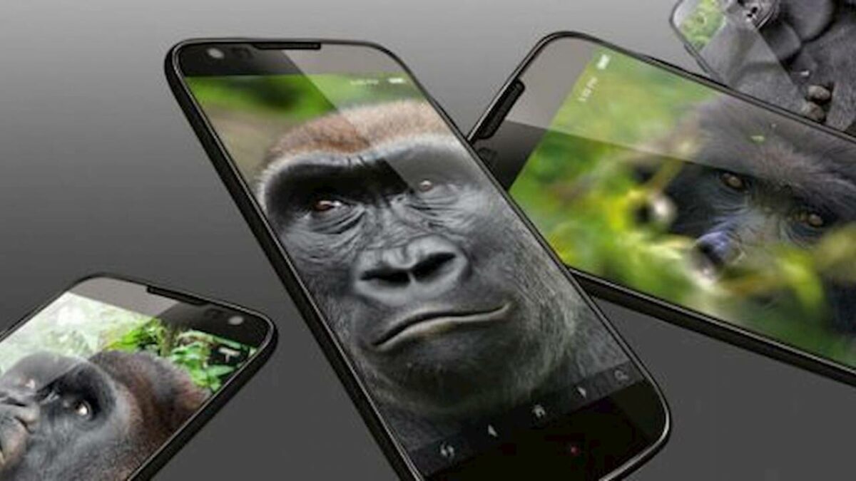 Corning Gorilla Glass Victus: Lapisan Pelindung Corning Gorilla yang Paling Kuat - YANGCANGGIH.COM
