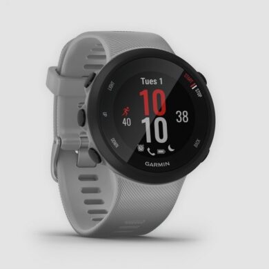 Garmin Forerunner 45 Plus 1