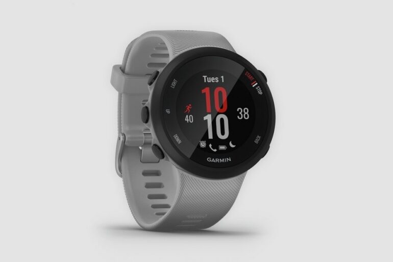 Garmin Forerunner 45 Plus 1