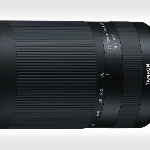 tamron 70 300 1