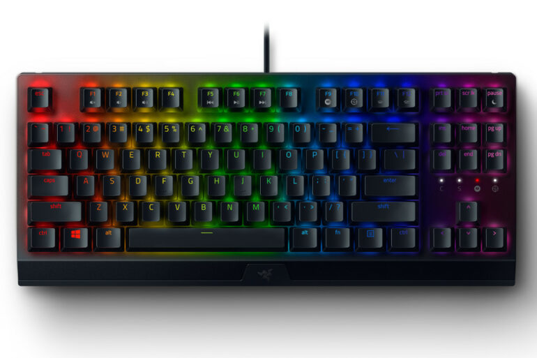 Razer Blackwidow v3 tenkeyless