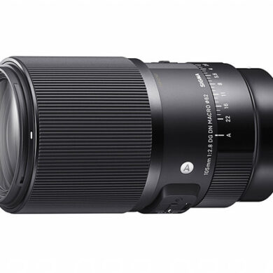 Sigma 105mm f2.8 DG DN Macro 1