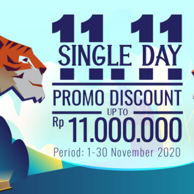 Datascripmall.ID 11.11 Single Day