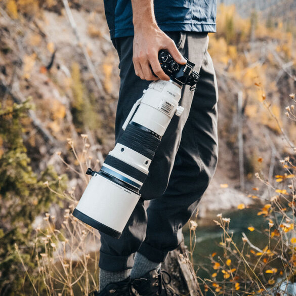 M.Zuiko Digital ED 150 400mm F4.5 TC1.25x IS Pro 1