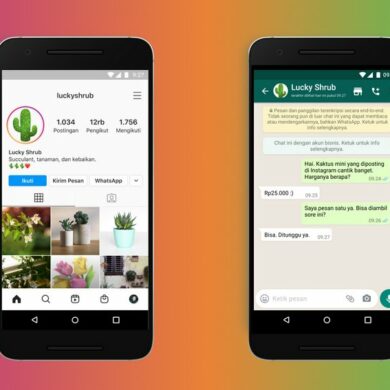 Instagram WhatsApp
