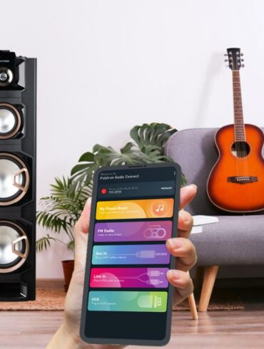 polytron audio connect 2