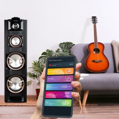 polytron audio connect 2