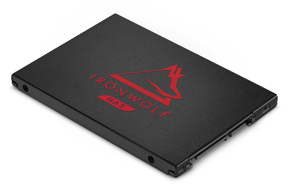 IronWolf 125 SATA SSD