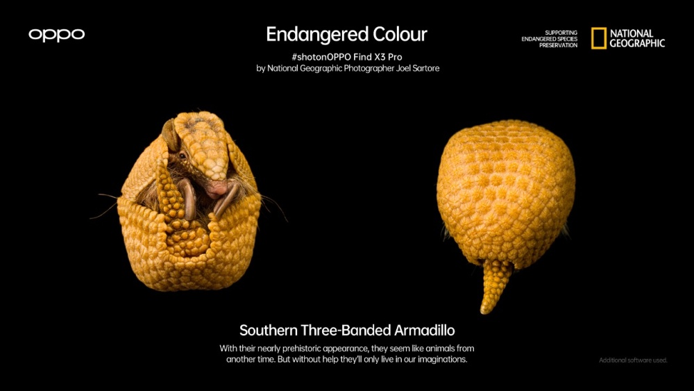 Find X3 Pro Endangered Colour 2