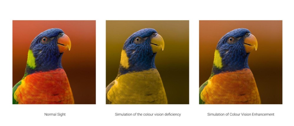 OPPO Find X3 Pro Colour Vision Enhancement 5