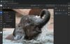adobe photoshop web 2