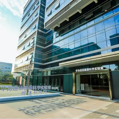 Huawei Health Lab 2
