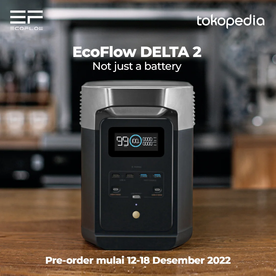 EcoFlow DELTA 2 2