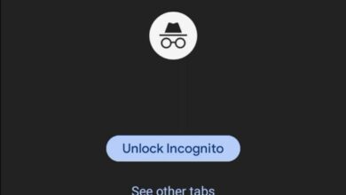 lock incognito google chrome-1