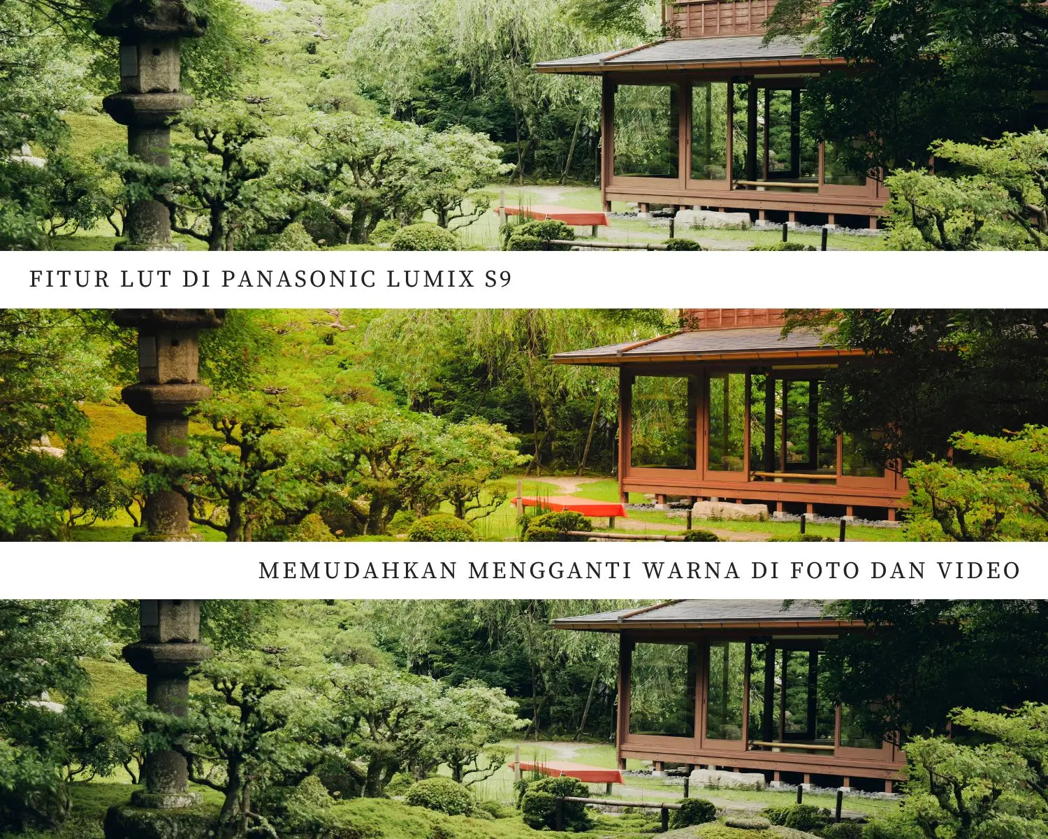 landscape panasonic lumix s9 lut